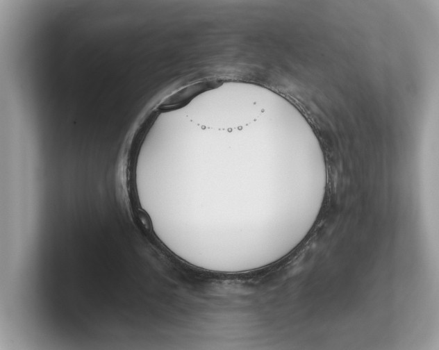 X0000101460244200807281005