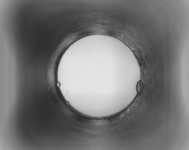 X0000101460245200807281005