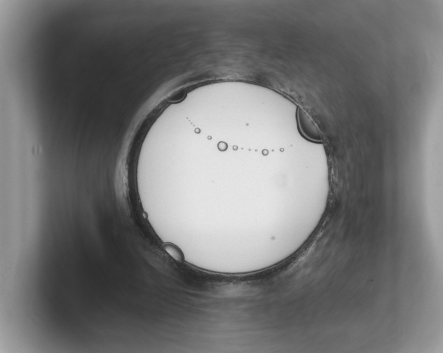 X0000101460246200807281005