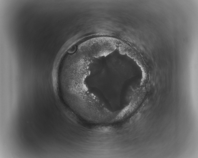 X0000101460247200807281005