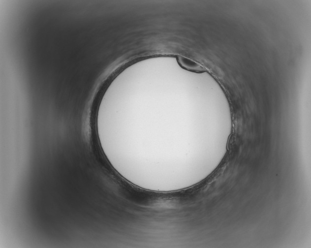 X0000101460248200807281005