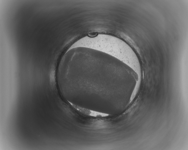 X0000101460249200807281005