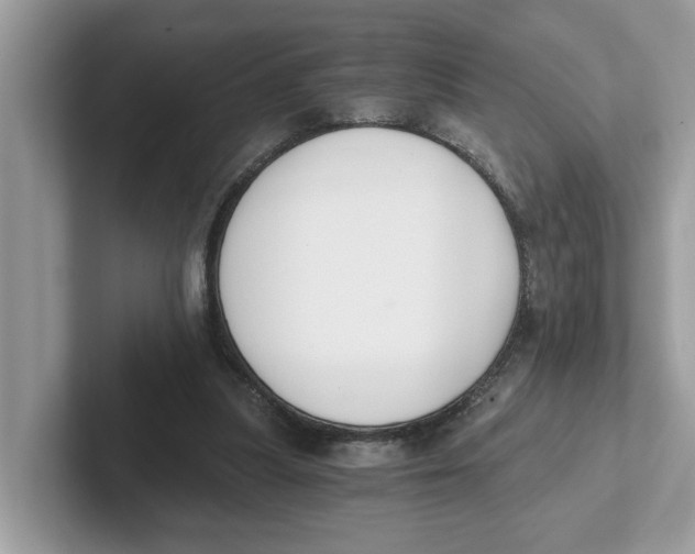 X0000101460251200807281005