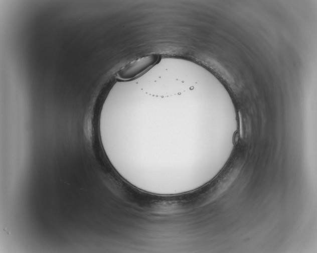 X0000101460252200807281005