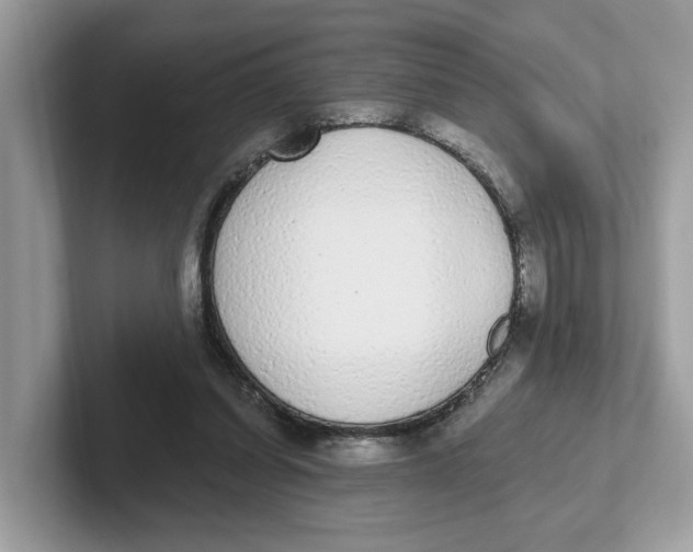 X0000101460254200807281005