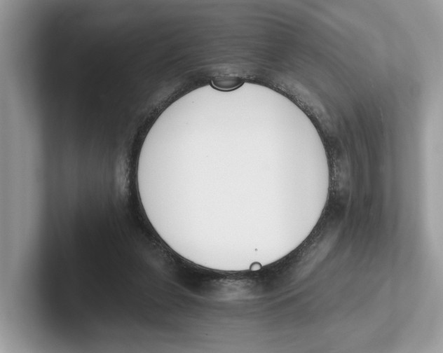 X0000101460255200807281005