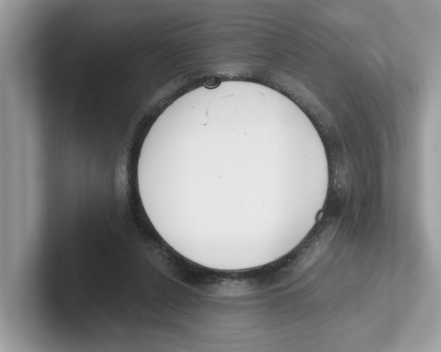 X0000101460256200807281005