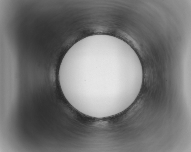 X0000101460257200807281005