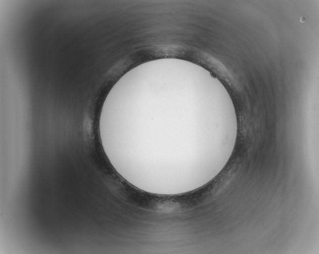 X0000101460258200807281005