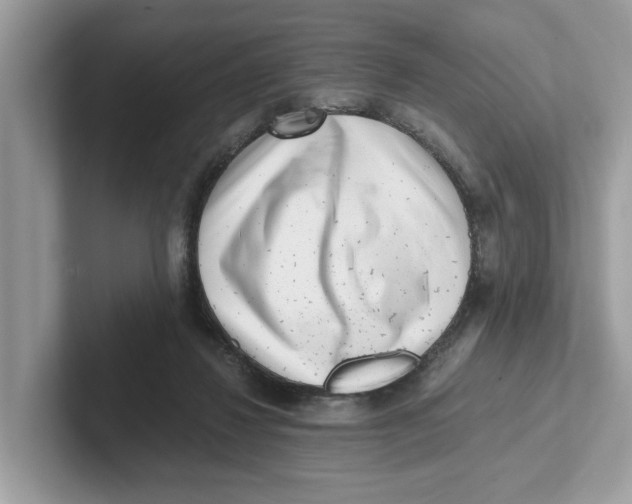 X0000101460260200807281005