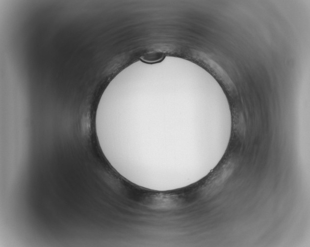 X0000101460261200807281005