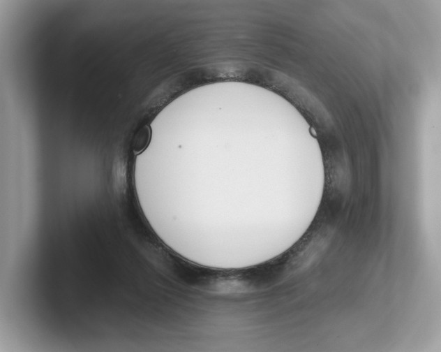 X0000101460262200807281005