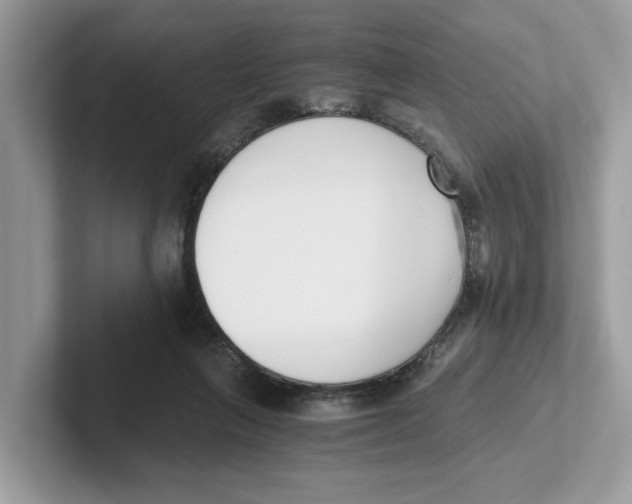 X0000101460263200807281005