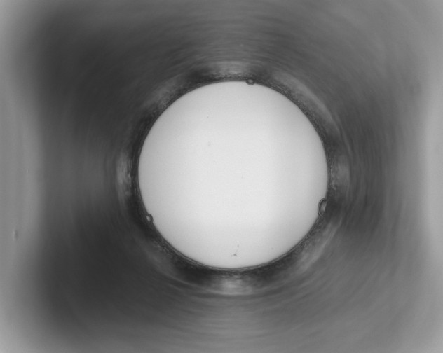 X0000101460264200807281005