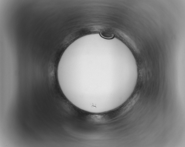 X0000101460265200807281005