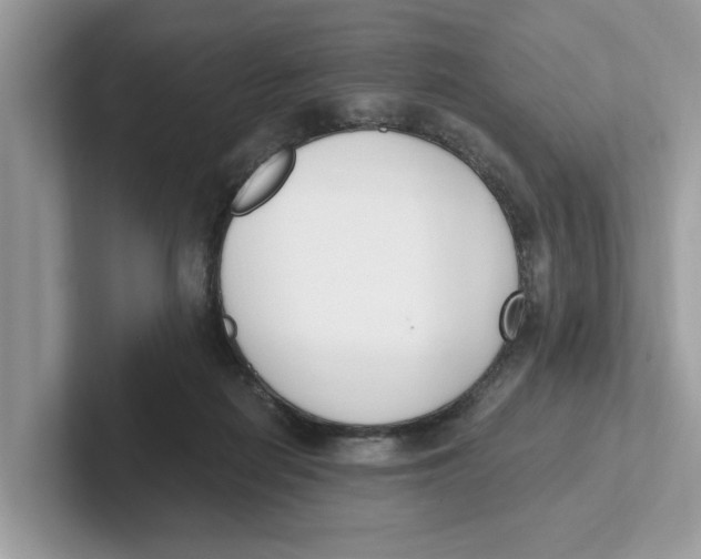 X0000101460266200807281005