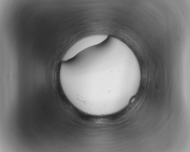 X0000101460268200807281005