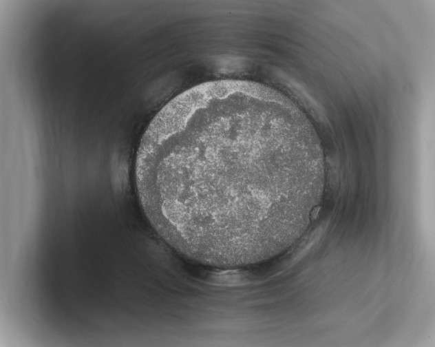 X0000101460269200807281005