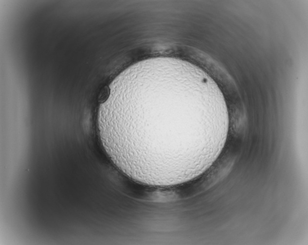 X0000101460270200807281005