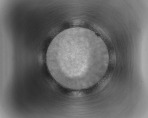 X0000101460272200807281005