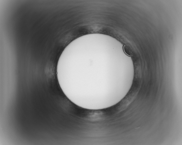 X0000101460274200807281005