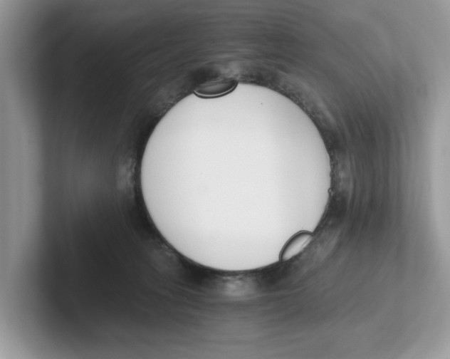 X0000101460275200807281005