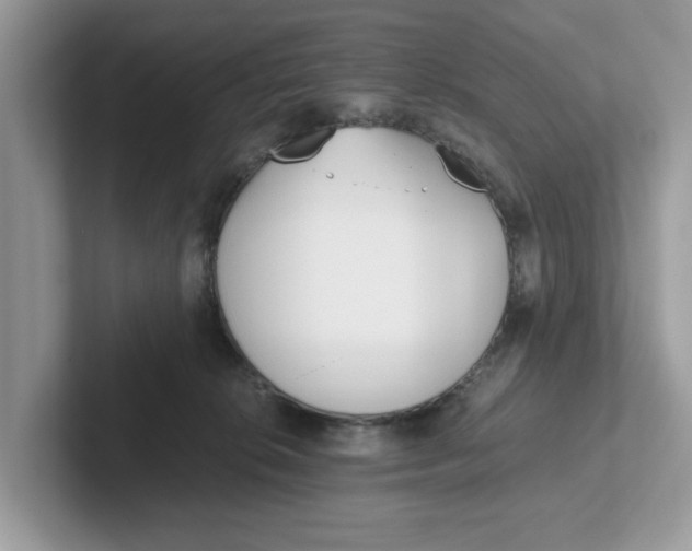 X0000101460276200807281005