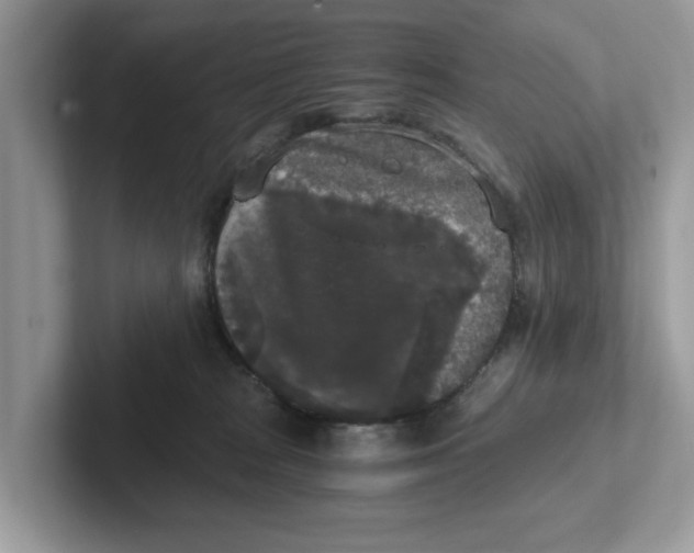 X0000101460277200807281005