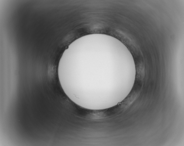 X0000101460278200807281005