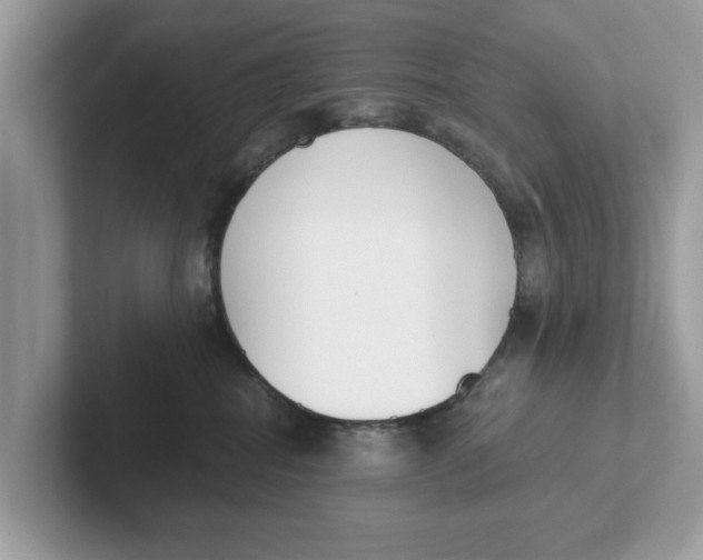 X0000101460282200807281005