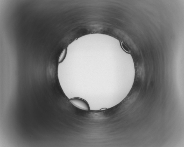 X0000101460283200807281005