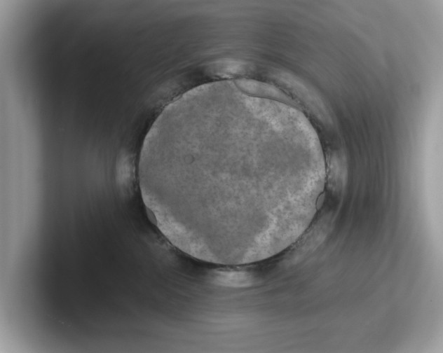 X0000101460284200807281005