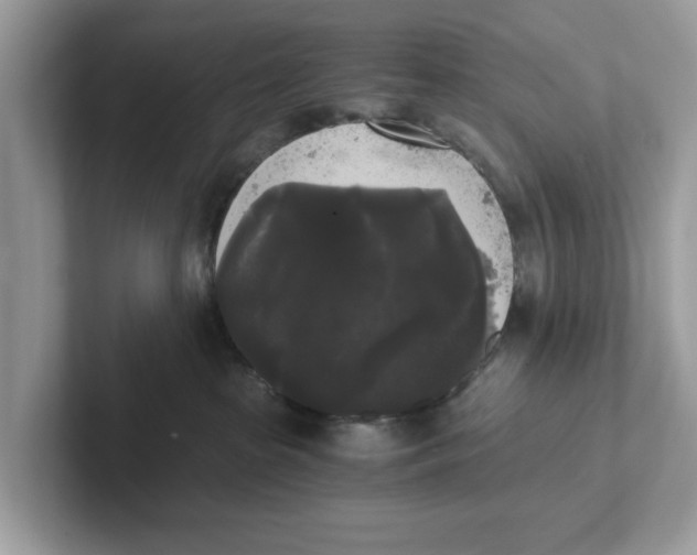 X0000101460285200807281005