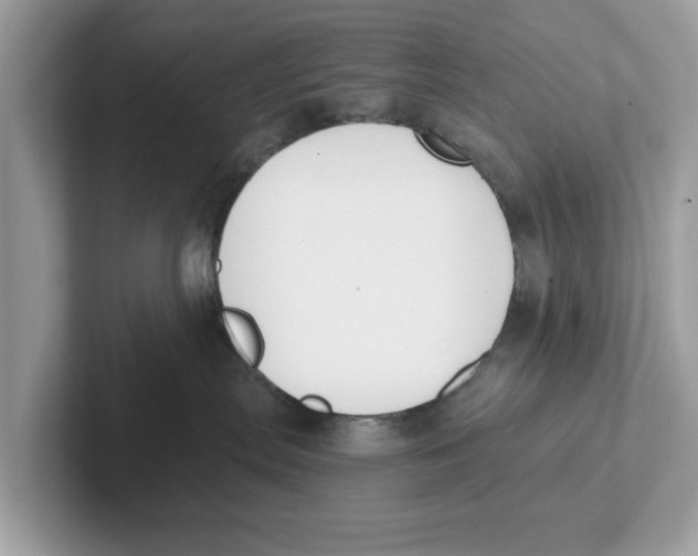 X0000101460287200807281005