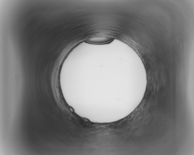 X0000101460289200807281005