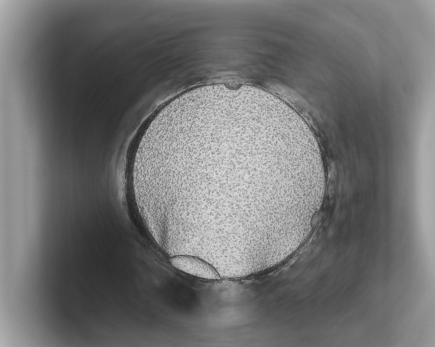 X0000101460290200807281005