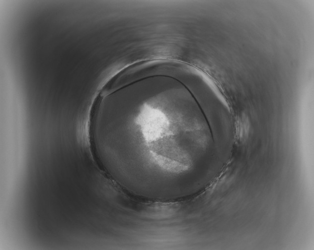 X0000101460292200807281005