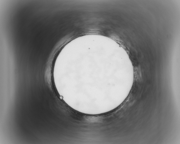 X0000101460293200807281005