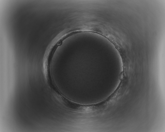 X0000101460295200807281005