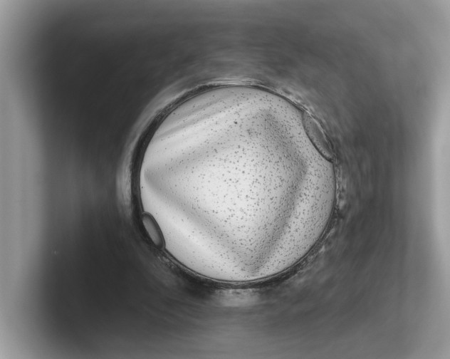 X0000101460296200807281005