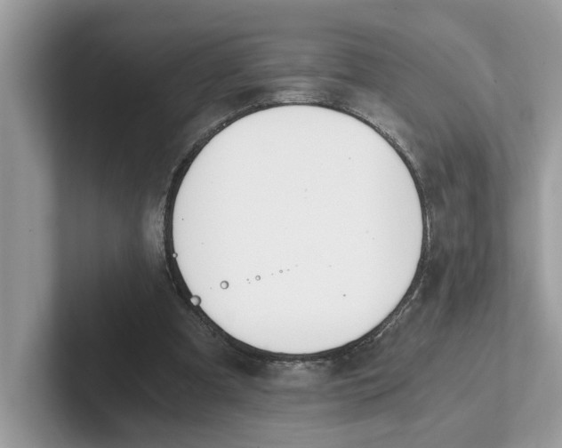 X0000101460297200807281005