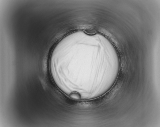 X0000101460299200807281005