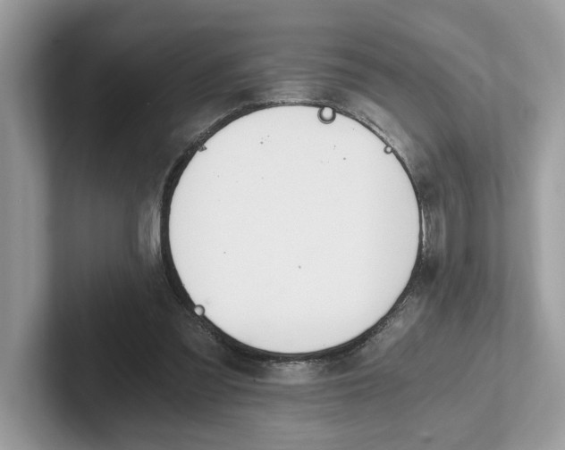 X0000101460301200807281005