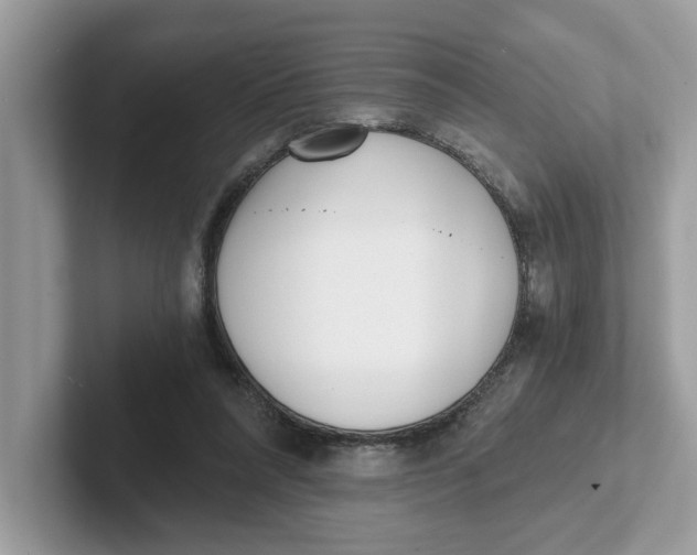 X0000101460304200807281005