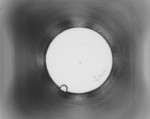 X0000101460305200807281005