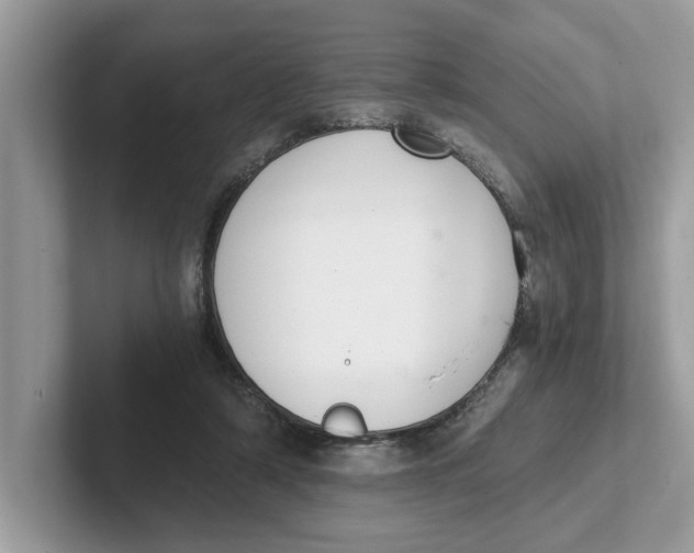 X0000101460306200807281005