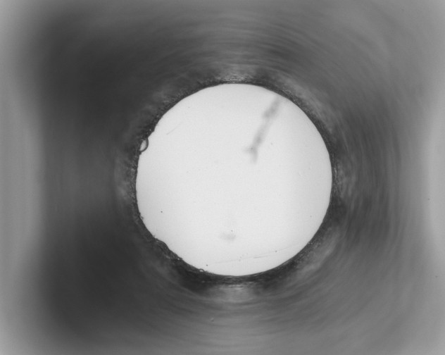 X0000101460307200807281005