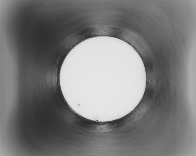 X0000101460309200807281005