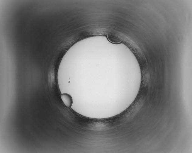 X0000101460310200807281005