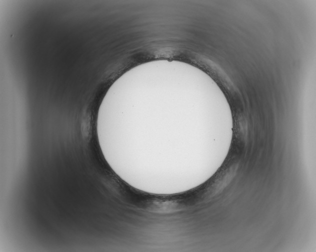 X0000101460311200807281005